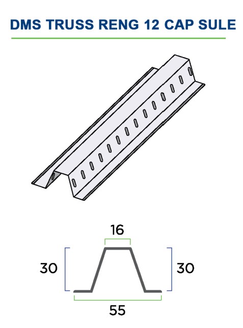 DMSTRUSS RENG 12 CAPSULE